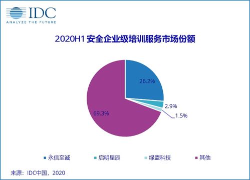 2020上半年中國IT安全服務(wù)市場穩(wěn)健增長，市場規(guī)模達40.23億元